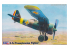 MASTER CRAFT maquette avion 020378 PZL P-7A CHASSEUR DE TRANSYLVANIE 1/72