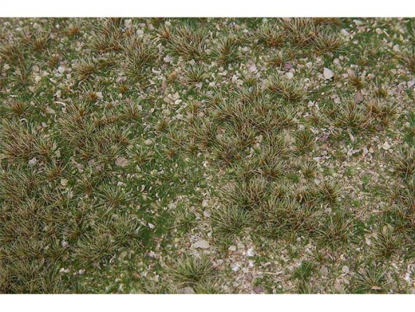 Faller diorama 180479 Segment de paysage PREMIUM, Champ d'herbes sauvages