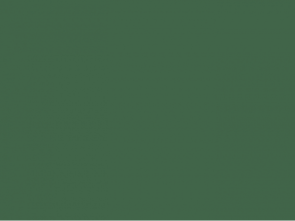 Vallejo peinture acrylique Panzer Aces 70348 Splinter Strips 17ml