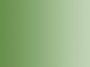 Vallejo Peinture Acrylique Model Air 71095 Vert pale RAL6011 17ml