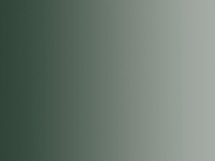 Vallejo Peinture Acrylique Model Air 71019 Vert foncé Camouflage FS34064 - RAL6007 17ml