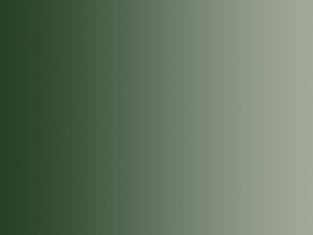 Vallejo Peinture Acrylique Model Air 71017 Vert Russe 4BO FS34082 17ml