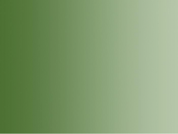 Vallejo Peinture Acrylique Model Air 71006 Vert clair Camouflage 17ml