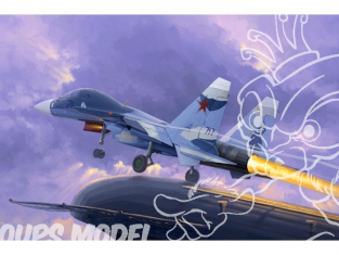 TRUMPETER maquette avion 01669 SUKHOI Su-33UB FLANKER D MARINE RUSSE 2003 1/72