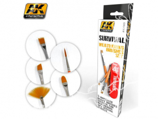 AK Interactive pinceau 663 SET DE SURVIE PINCEAUX ET BROSSES Pour VIEILLISSEMENT