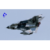 ITALERI maquette avion 2668 Tornado IDS "Black Panthers" 1/48