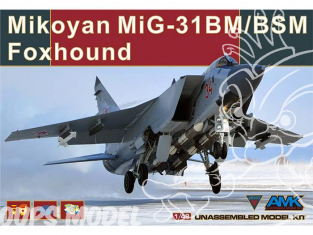 AMK maquette avion 88003 Mikoyan MiG-31 BM/BSM Foxhound 1/48