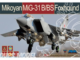 AMK maquette avion 88008 Mikoyan MiG-31 B/BS Foxhound 1/48